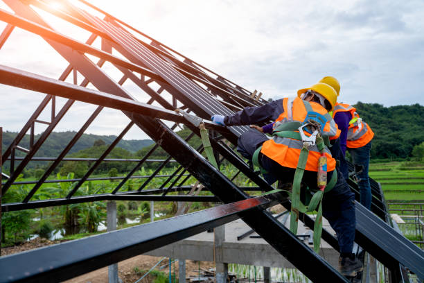 Best Sealant for Roof  in Fergus Falls, MN