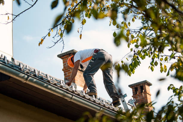 Best Tile Roofing Contractor  in Fergus Falls, MN