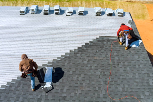 Best Shingle Roofing Installation  in Fergus Falls, MN