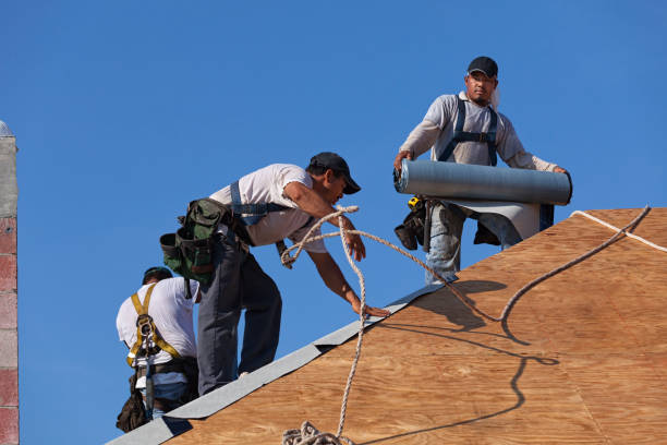 Best Shingle Roofing Installation  in Fergus Falls, MN