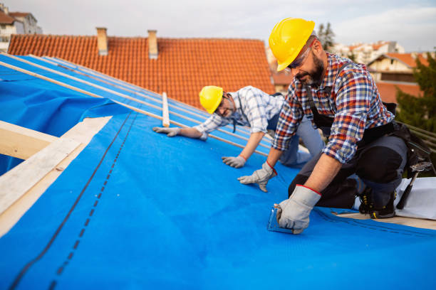 Best Residential Roofing Contractor  in Fergus Falls, MN